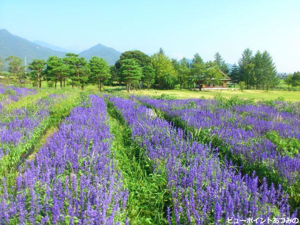 安曇野ちひろ公園