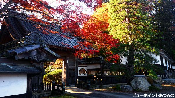 大庄屋山口家の紅葉