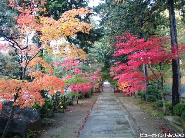 参道の彩り