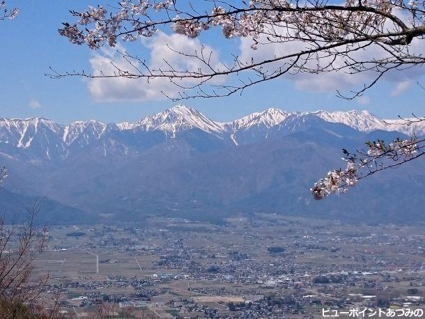 常念と槍と桜