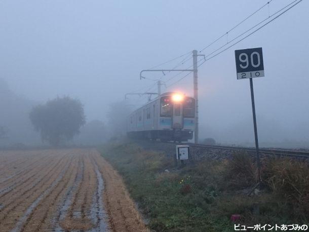 朝霧を駆け抜けて