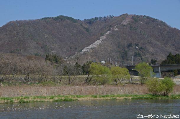 安曇野の昇竜