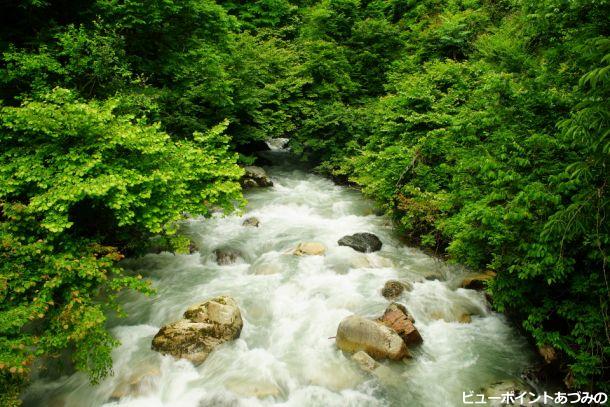 烏川の流れ