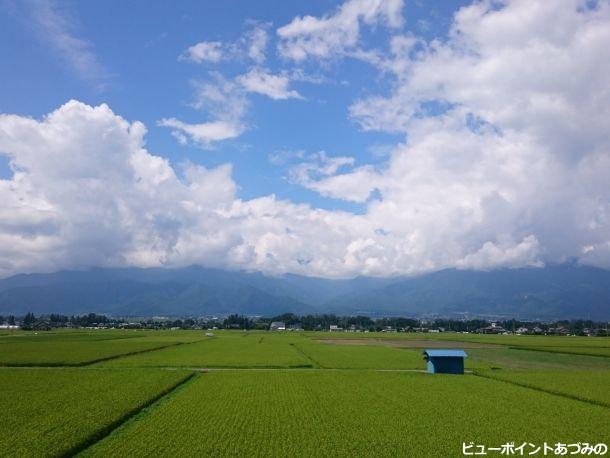 夏空と田園