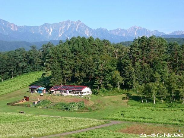 中山高原の蕎麦畑