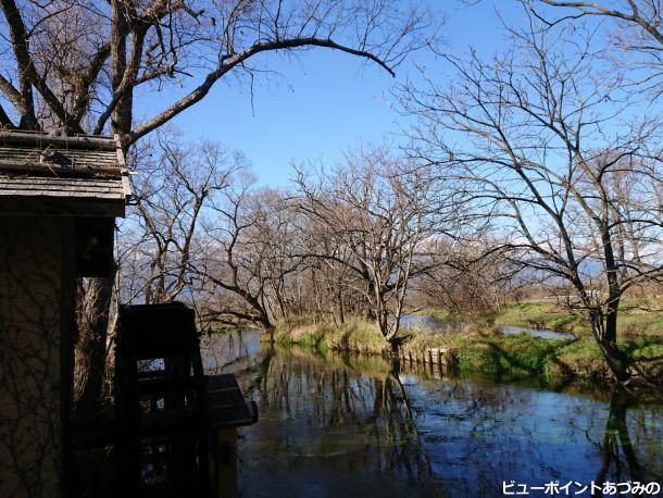 蓼川と水車小屋