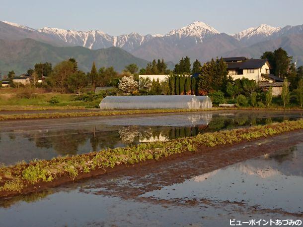 段丘の屋敷林と常念岳