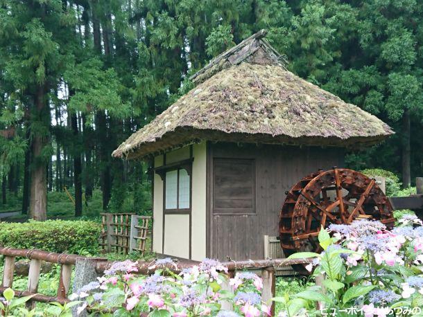 松尾寺の水車小屋