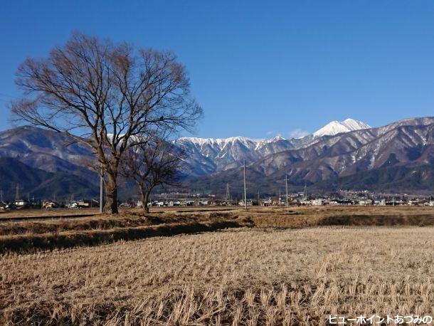 大木と常念岳