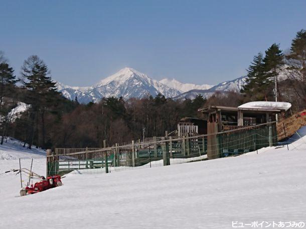 雪の農園と蓮華岳