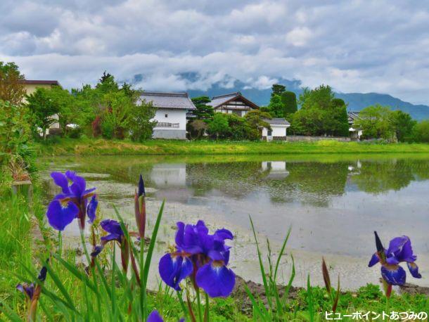 田植え終了