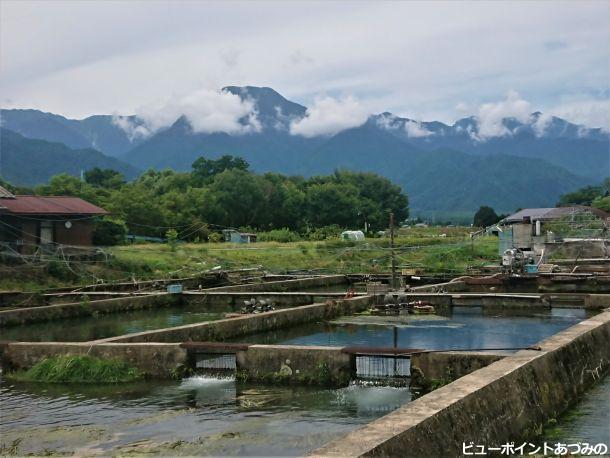 養鱒場と有明山