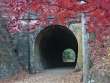 紅葉と漆久保トンネル