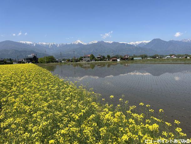 田植日和、安曇野