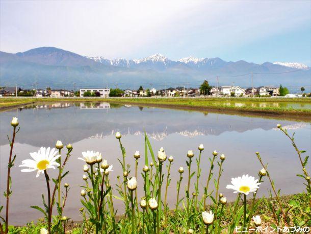 田植え準備完了