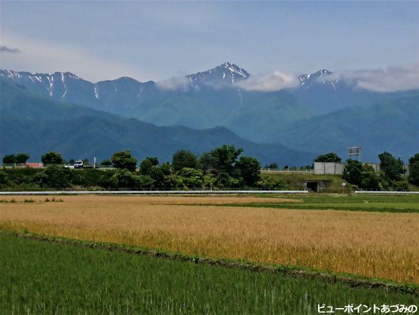 麦秋の常念岳