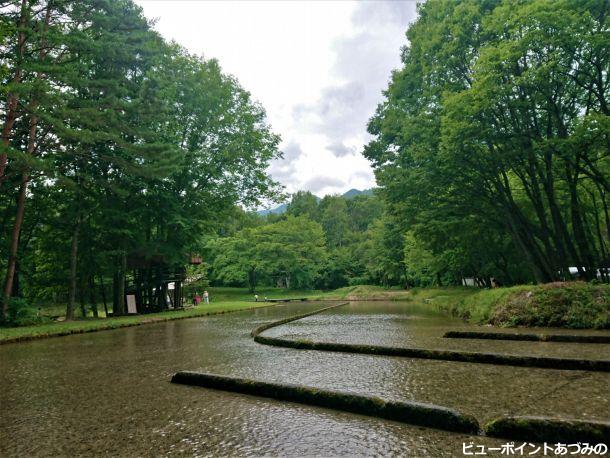 わっぱらんど