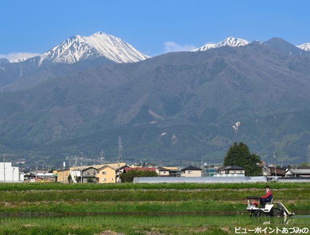 田植え時期の常念岳