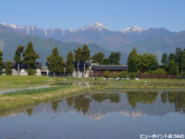 水鏡の屋敷林と常念岳