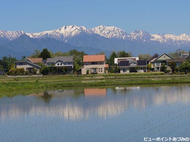 住宅地と後立山連峰