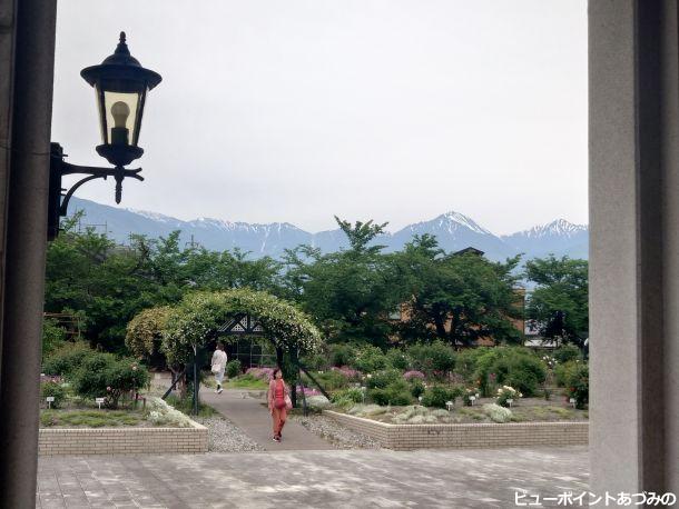薔薇園と常念岳