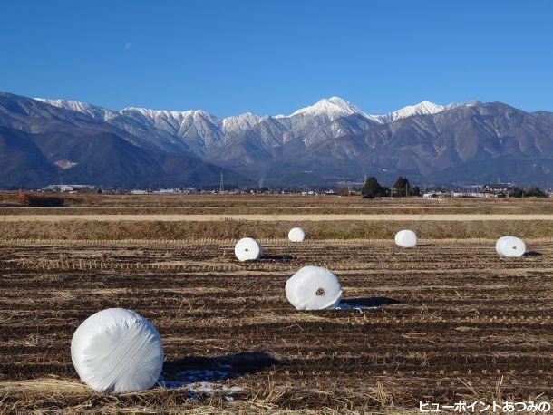 藁ロールと常念岳