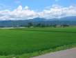 田園風景と白い雲