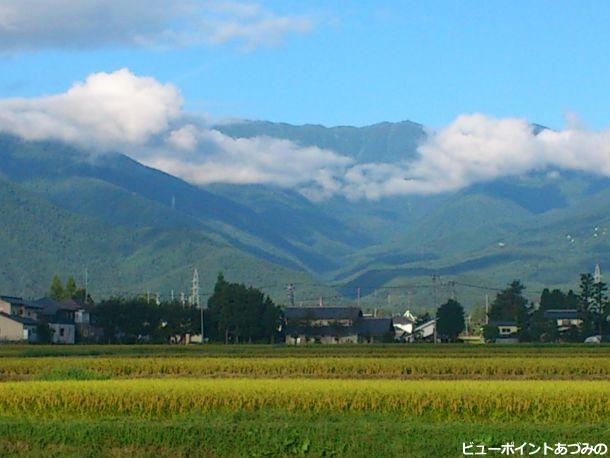 黄金色の安曇野