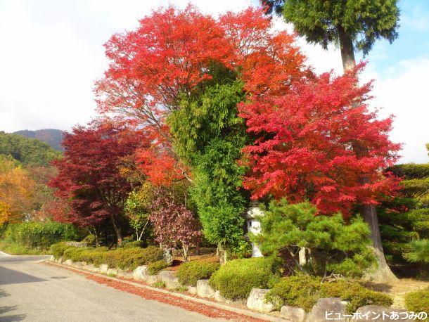 山麓の紅葉