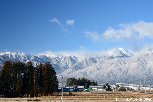 屋敷林の彼方に