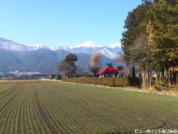 麦畑と常念岳