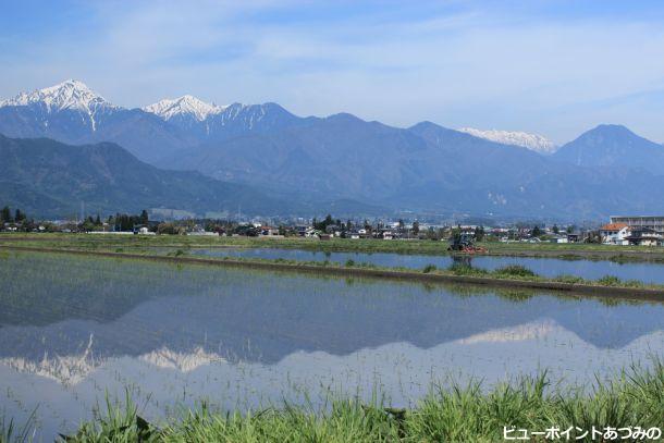 初夏の水鏡