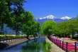 新緑の十ｹ堰