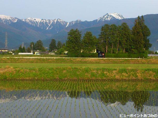 屋敷林と常念岳