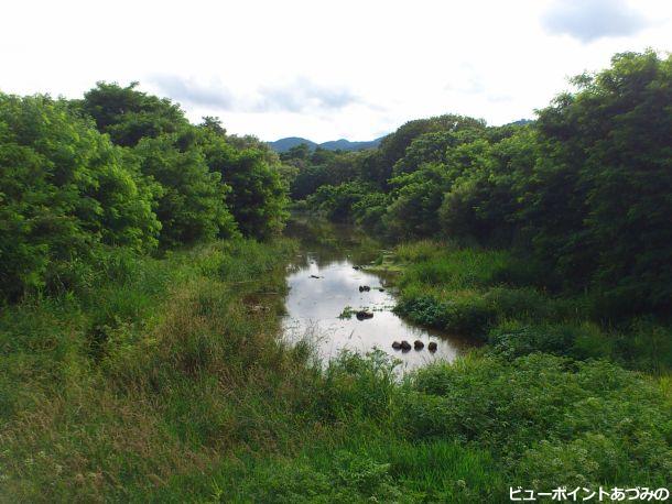 三角島の湧水池