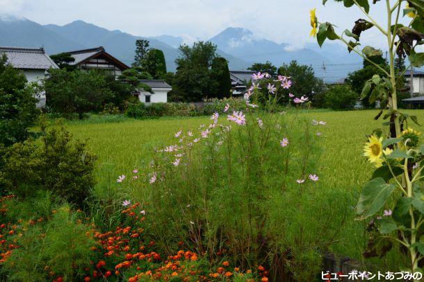 夏から秋へ