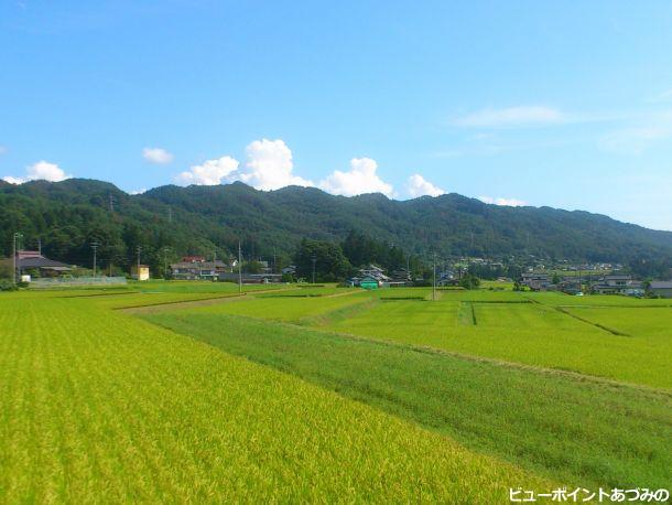 晩夏の田園風景