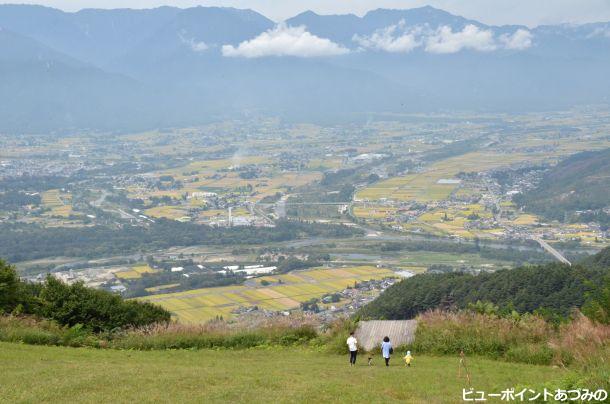 黄金色の安曇野
