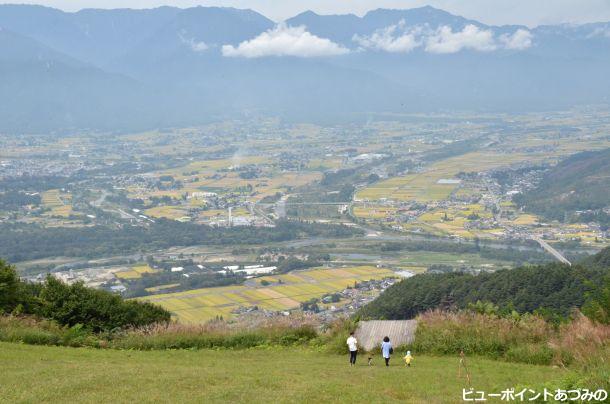 黄金色の安曇野