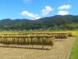 秋の田園風景