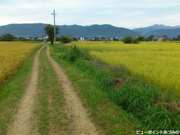 秋の田舎道