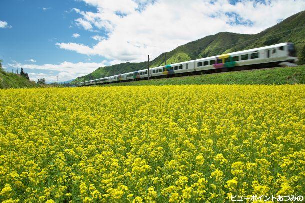 菜の花と大糸線あずさ