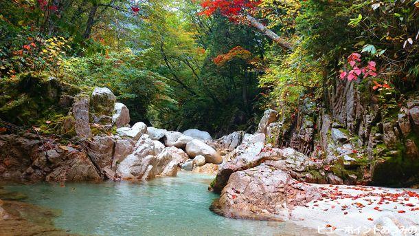 秋の中房川