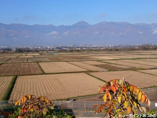 晩秋の田園風景