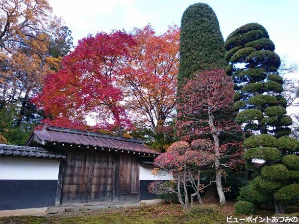 山口家庭園