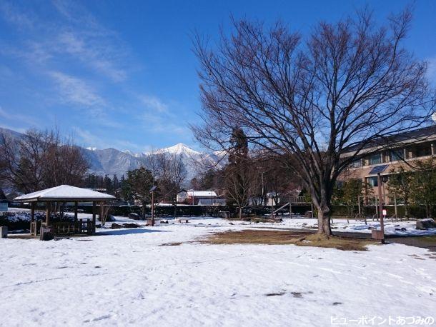 欅の大木と常念岳