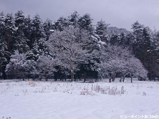 山麓冬景色