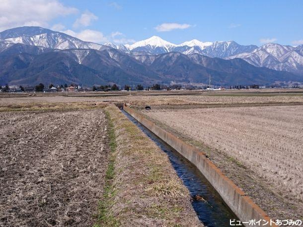 早春の田園と常念岳