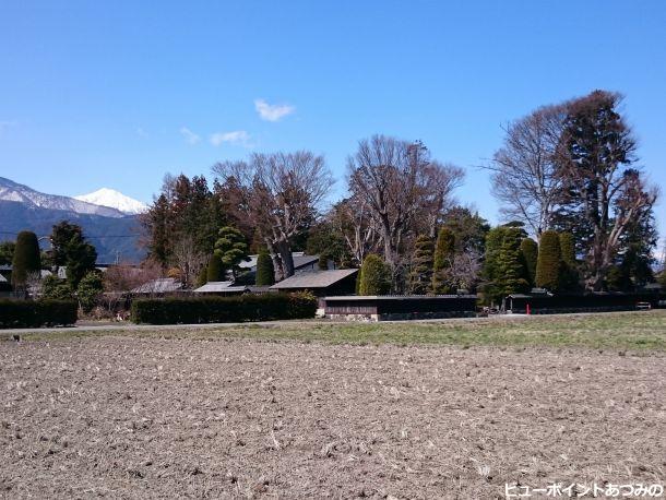 屋敷林と常念岳