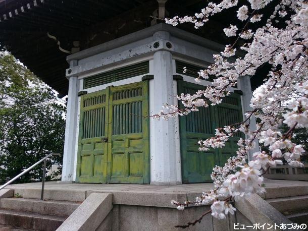 一乗寺の桜